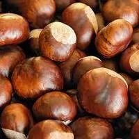 lilchestnut