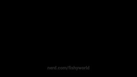 fishyworld post preview