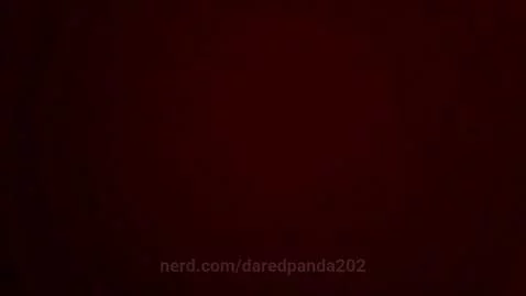 daredpanda202