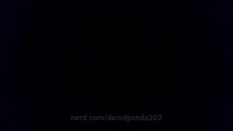 daredpanda202