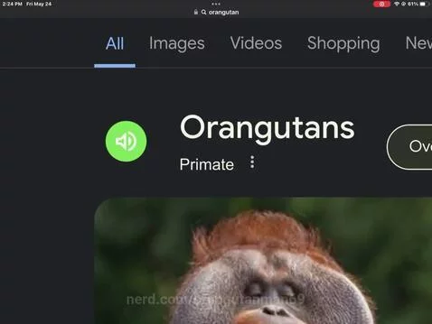 orangutanman69 post preview