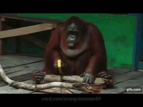 orangutanman69 post preview